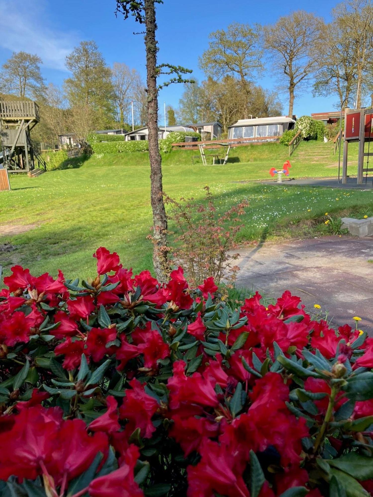 Randboldal Camping & Cabins Randbøl Exterior foto